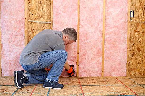 Best Energy Efficiency Insulation in Swoyersville, PA